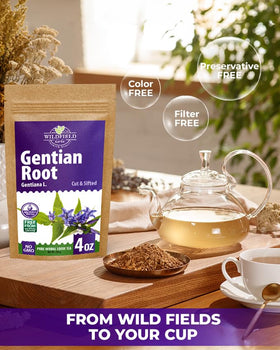 Wildfield Herbs Gentian Root brewed tea captures warm aroma in a glass.
