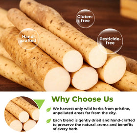 Wild Yam Root harvest-field view hints at natural sourcing and plant-forward ingredients.
