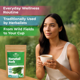 Wildfield Herbs Horsetail Tea packaging box indicating fresh European origin