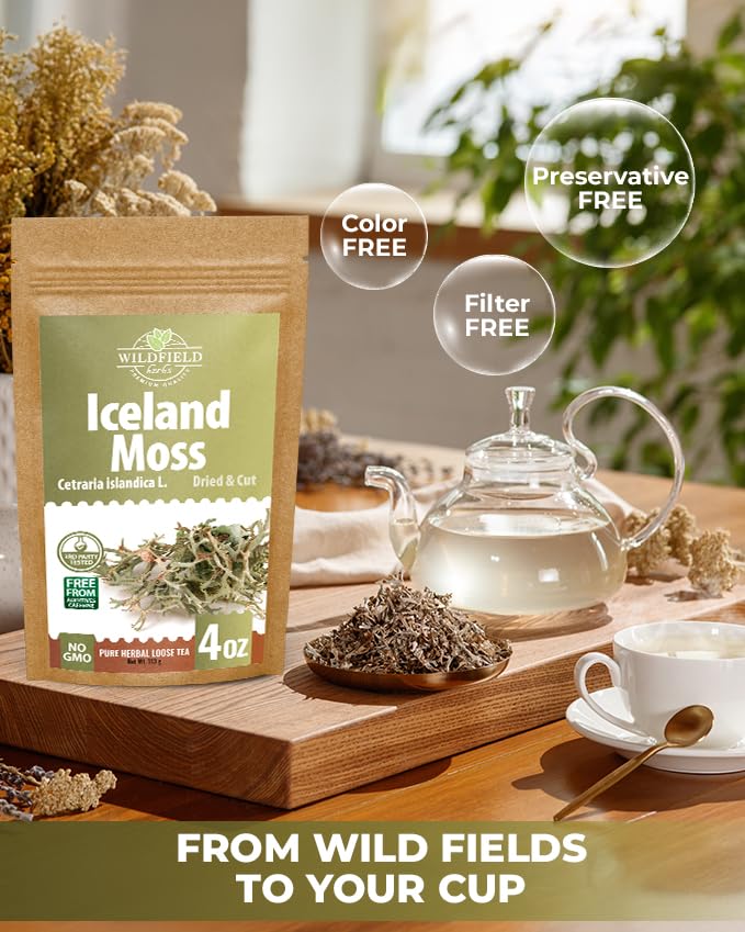 Steeping Wildfield Herbs Icelandic Moss tea releases rich aroma.