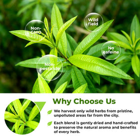 Wildfield Herbs Lemon Verbena herb pile close-up—pure, high-quality leaves for daily use.