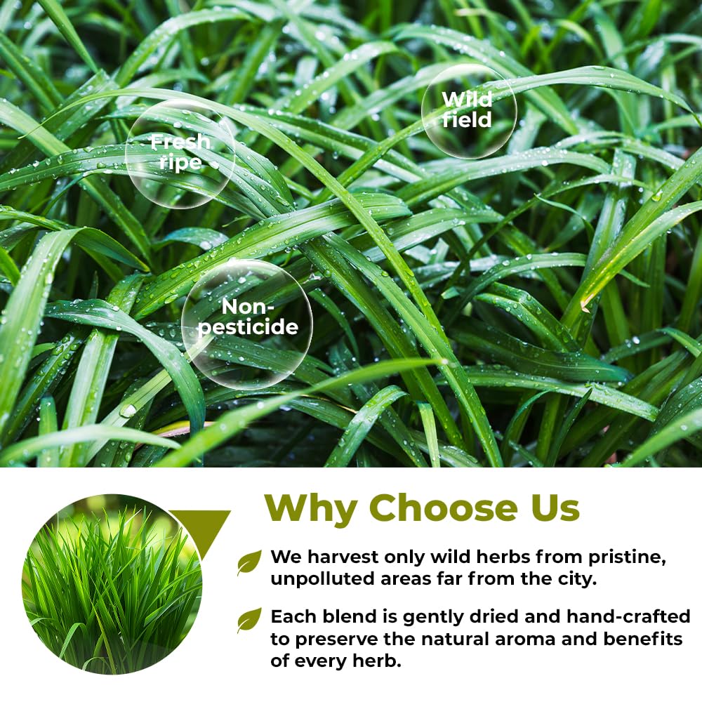 Wildfield Herbs boxed lemongrass tea with hygienic packaging and seals.