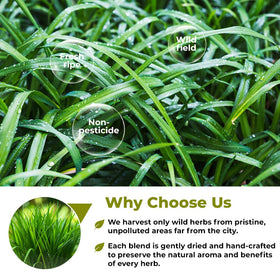 Wildfield Herbs boxed lemongrass tea with hygienic packaging and seals.