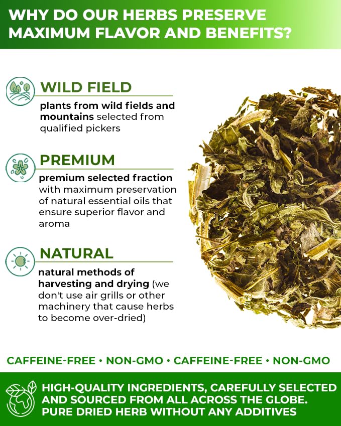 Wildfield Herbs Leonurus cardiaca tea cup steeping, inviting relaxing aroma.