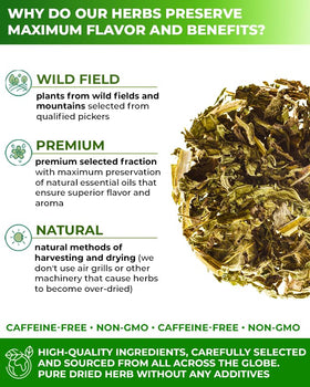Wildfield Herbs Leonurus cardiaca tea cup steeping, inviting relaxing aroma.