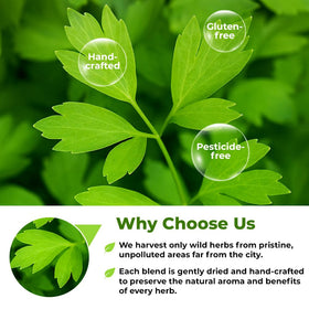 Wildfield Herbs Lovage packaging sealed preserves freshness and hygiene.