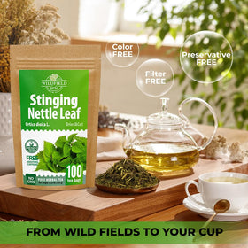 Wildfield Herbs Nettle Leaf Tea steeping for a fragrant cup.