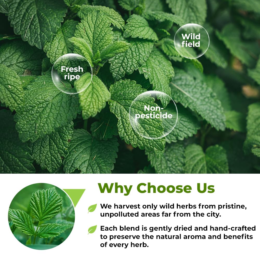 Wildfield Herbs Nettle Leaf Tea origin noted in Europe.
