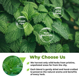 Wildfield Herbs Nettle Leaf Tea origin noted in Europe.