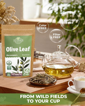 Wildfield Herbs Olive Leaf Tea bag inside packaging for easy steeping.