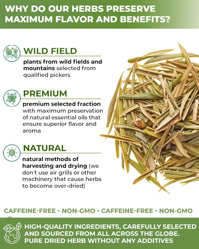 Wildfield Herbs Olive Leaf Tea brewed cup ready for a soothing moment.