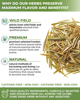 Wildfield Herbs Olive Leaf Tea brewed cup ready for a soothing moment.