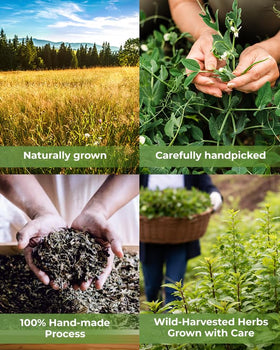 Wildfield Herbs Olive Leaf Tea packaging seal preserves freshness and fragrance.