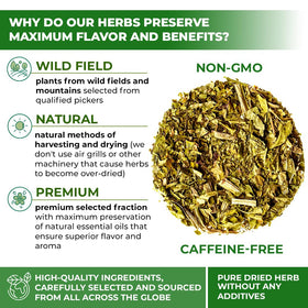 Wildfield Herbs Plantain Leaf Tea infusion steeping, warm amber color