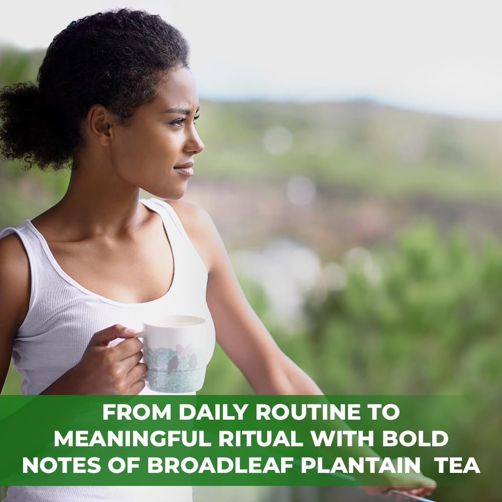 Wildfield Herbs Plantain Leaf Tea label detail for clear product info