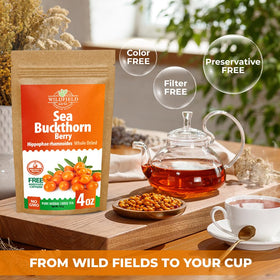 WILDFIELD HERBS Sea Buckthorn Tea in glass demonstrates a warm, golden infusion.