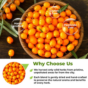 WILDFIELD HERBS Sea Buckthorn Berries sealed packaging keeps aroma intact.