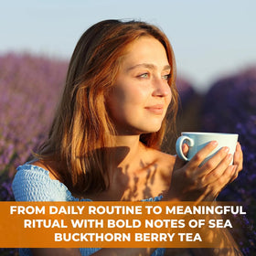 WILDFIELD HERBS Sea Buckthorn Berries on shelf reflect European origin and care.