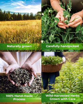 Wildfield Herbs hermetically sealed packaging keeps freshness for later use.