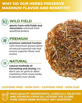 Wildfield Herbs St Johns Wort tea brew releasing bright aromatic notes