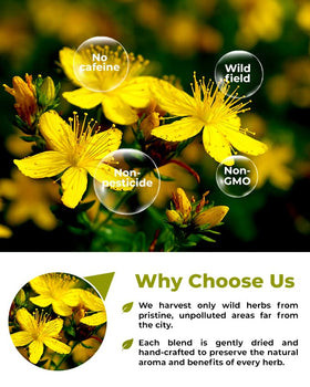 Wildfield Herbs St Johns Wort tea 113 g packaging