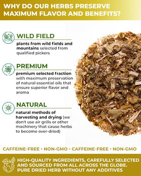 A steaming Wildfield Herbs mullein tea invites cozy, aromatic sipping