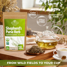 Wildfield Herbs Tea in cup showcasing fragrant infusion