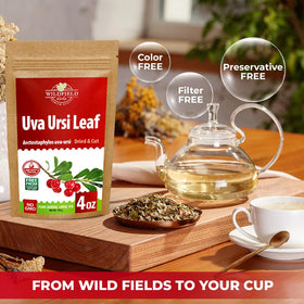 Aroma rises from Wildfield Uva Ursi tea inviting a calming ritual.