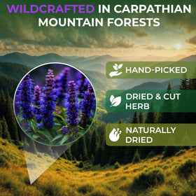 Wildfield Hyssop dried herb leaves for fragrant infusions and blends