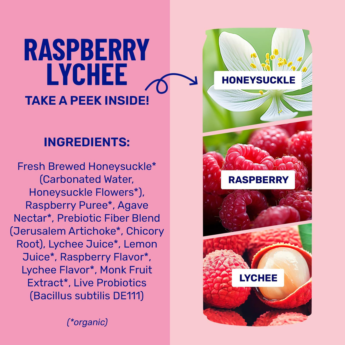 Wildwonder vegan plant fiber visual highlights prebiotic support.