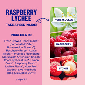 Wildwonder vegan plant fiber visual highlights prebiotic support.