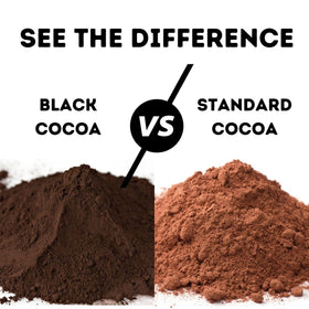 WinCrest Black Cocoa Powder scoop close-up emphasizes deep hue ideal for dramatic chocolate cookies.