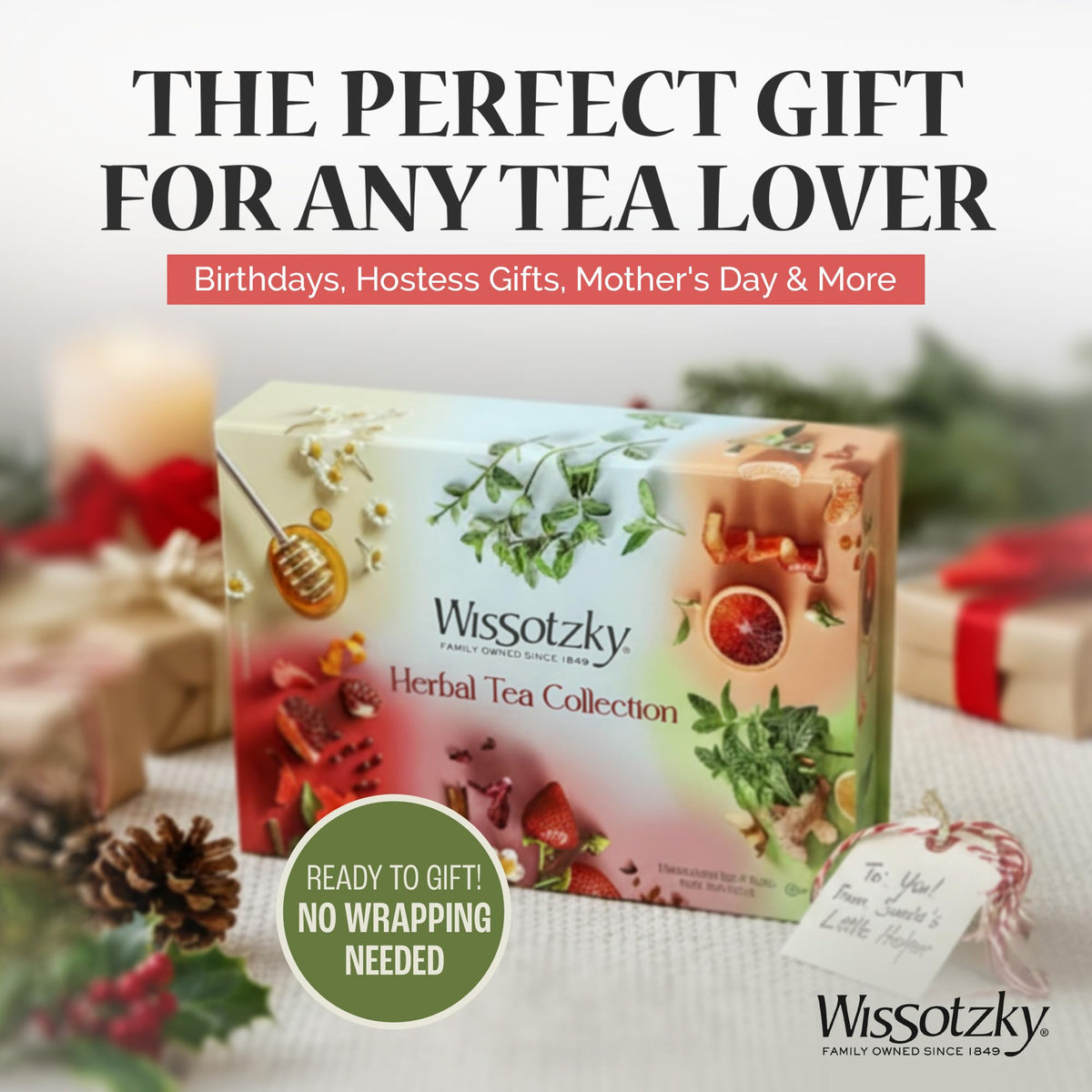 Wissotzky Dream Box tea bags close-up, individually wrapped for freshness.