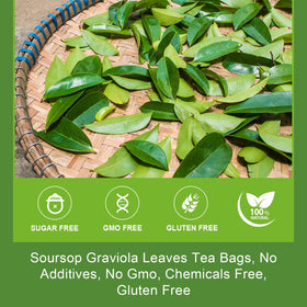 WOGORGT organic soursop leaves tea bags in glass mug with steam for a soothing moment.