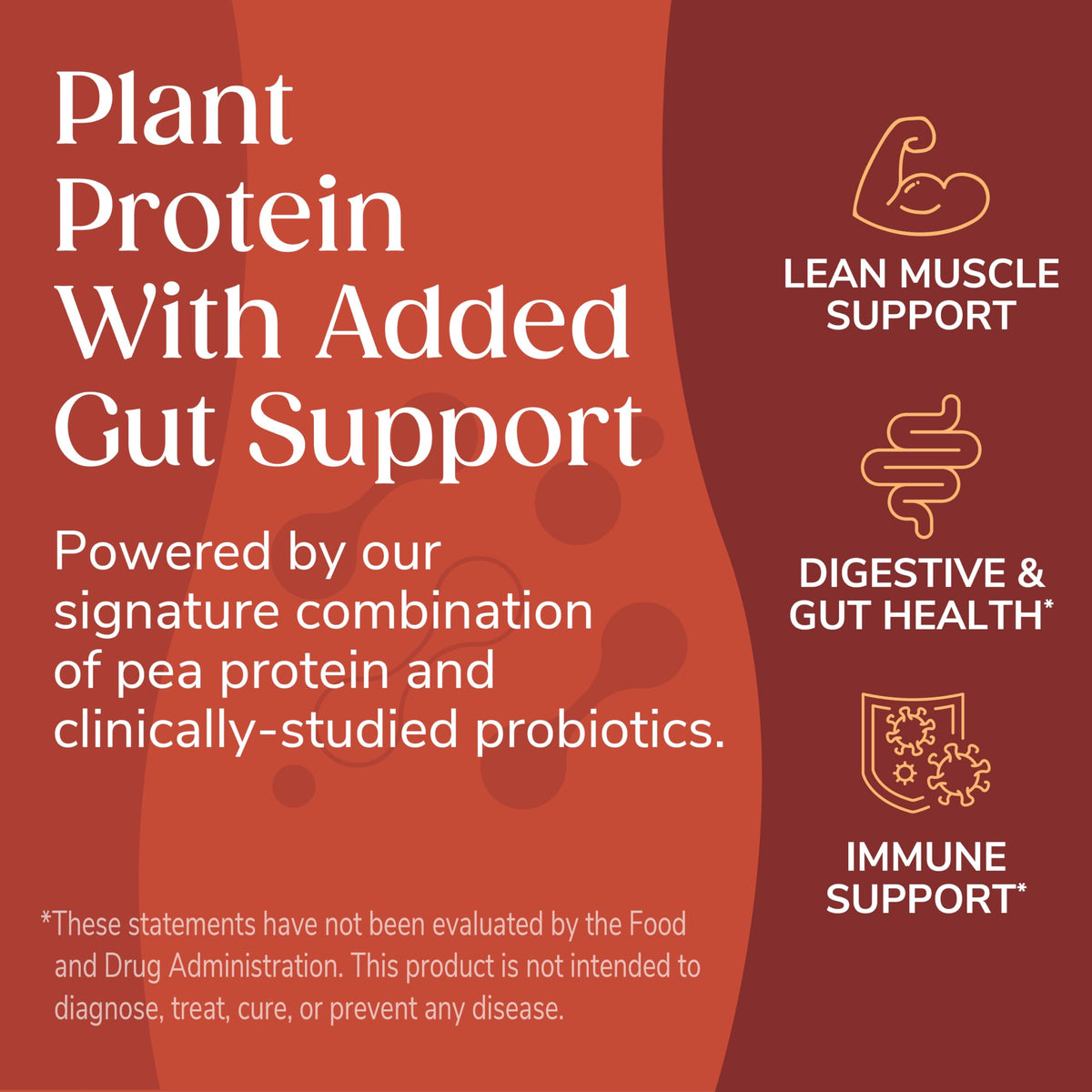 WonderSlim 12g protein chip showcasing plant-based protein bite