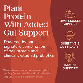 WonderSlim 12g protein chip showcasing plant-based protein bite