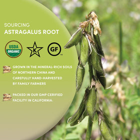 Worldwide Botanicals astragalus root packaging label signaling organic heritage and traditional roots.