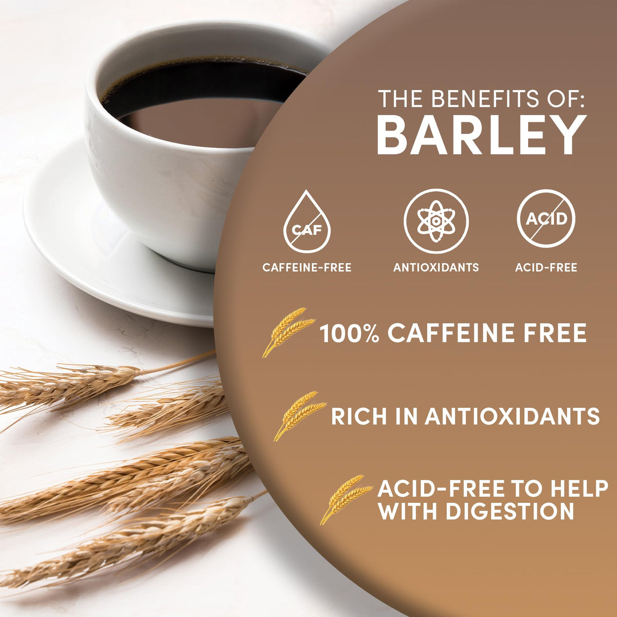 Worldwide Botanicals Barley Orzo prepared cup emitting steam, ideal as coffee substitute.
