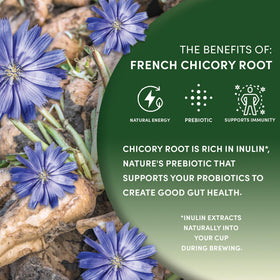 Worldwide Botanicals brewed chicory cup highlighting toasty, caffeine-free experience.