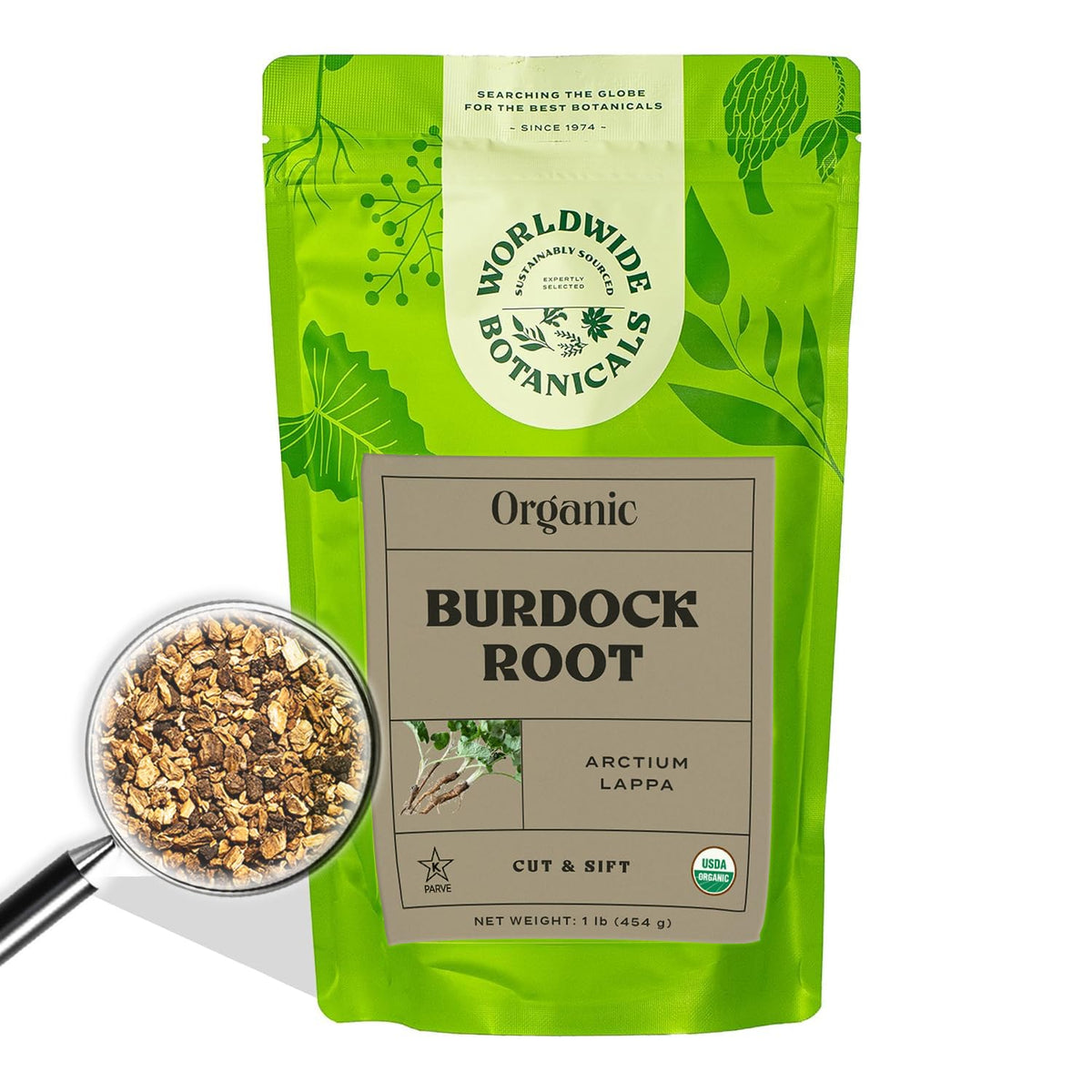 Worldwide Botanicals burdock root tea brew highlighting caffeine-free detox and rich caramel flavor.