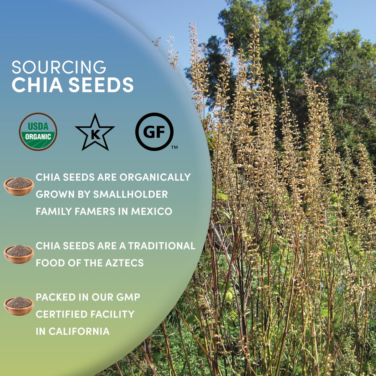 Worldwide Botanicals chia seeds ground egg replacement for vegan baking.
