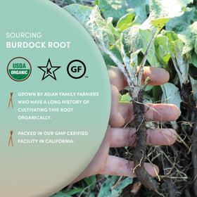 Worldwide Botanicals burdock tea packaging emphasizes organic, non-GMO roots.