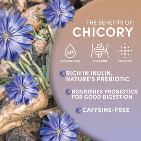 Worldwide Botanicals European roast process highlights sustainable farming and authentic chicory flavor.