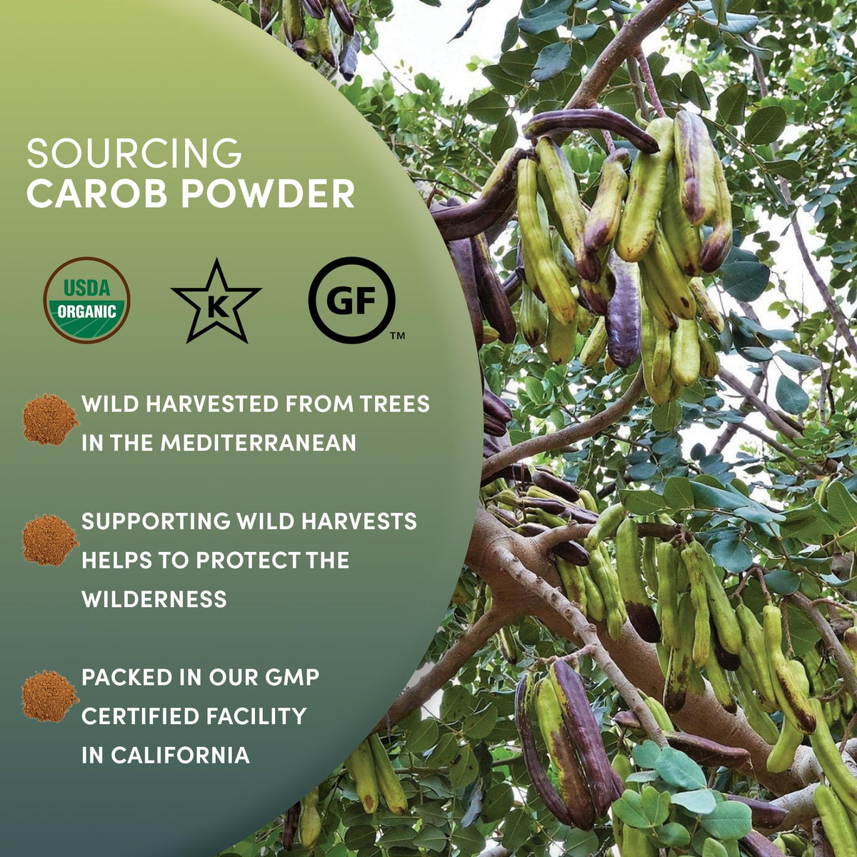 Worldwide Botanicals gluten-free kosher label on packaging signals dietary compatibility