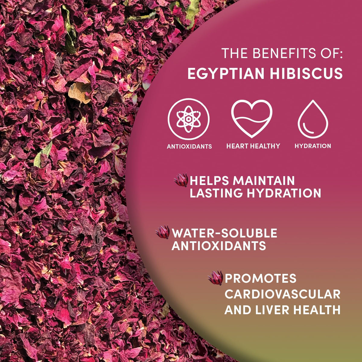 Worldwide Botanicals hibiscus calyces hand-harvested close-up, sustainably sourced.