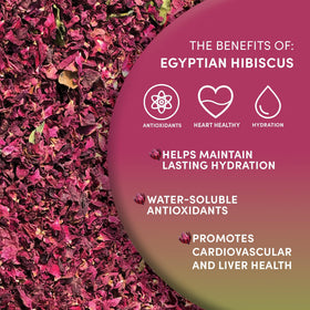 Worldwide Botanicals hibiscus calyces hand-harvested close-up, sustainably sourced.