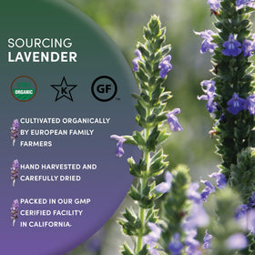 Worldwide Botanicals lavender-sachets-drawer scenting fabrics and closets efficiently.