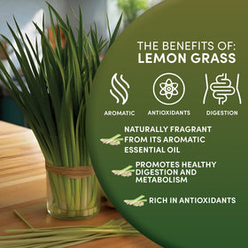 Worldwide Botanicals Lemongrass tea in cup with bright aroma