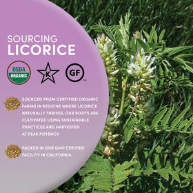 Worldwide Botanicals licorice root steeping to create a fragrant cup