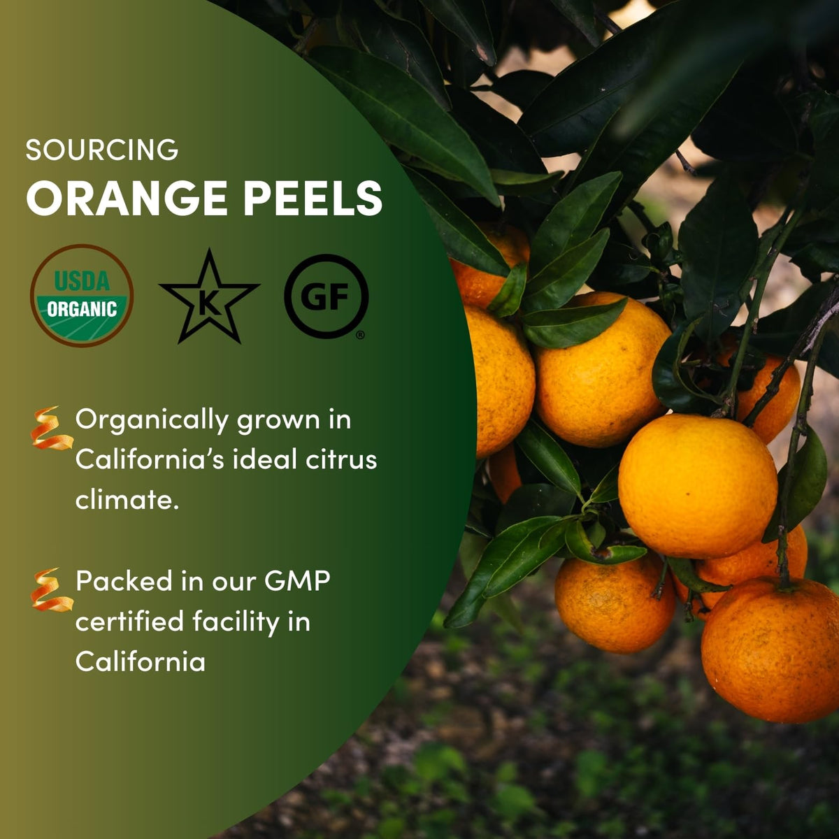 Orange peel granules added to tea or bake for a fresh citrus lift.